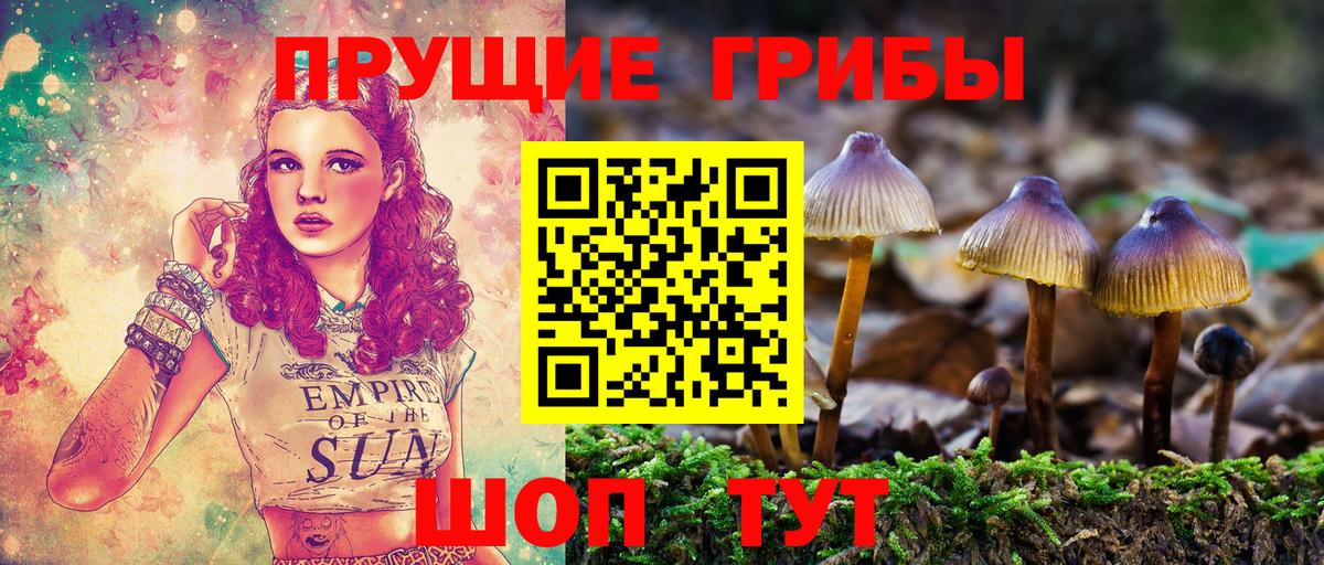 Надым  Псилоцибиновые грибы Cubensis  Вход с VPN  Галлюциногенные грибы Magic Shrooms 