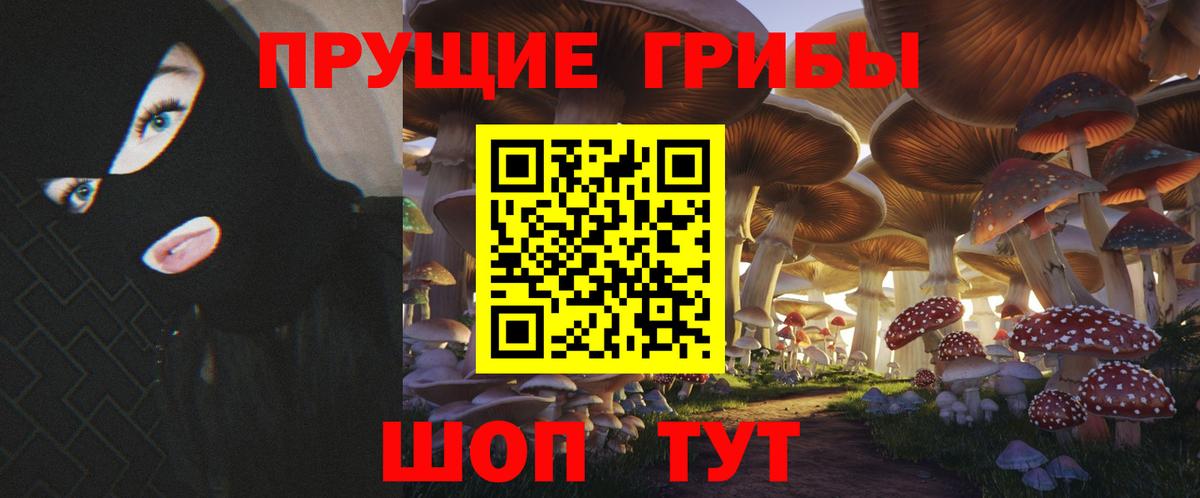 Псилоцибиновые грибы Cubensis Надым